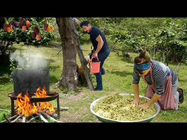 Our MOST WATCHING Videos! 2 Hour in Azerbaijan Village | Rural Life