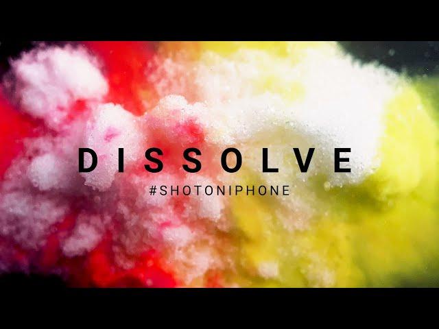 Dissolve - Shot on iPhone | SANDMARC Macro Lens - Short Film