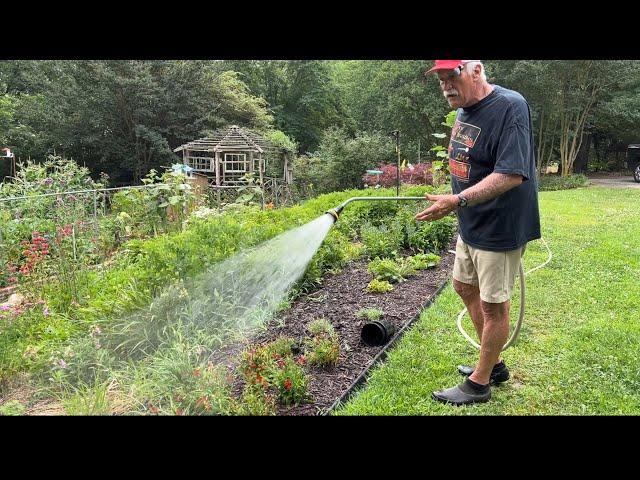 Garden Update for June 15, 2024