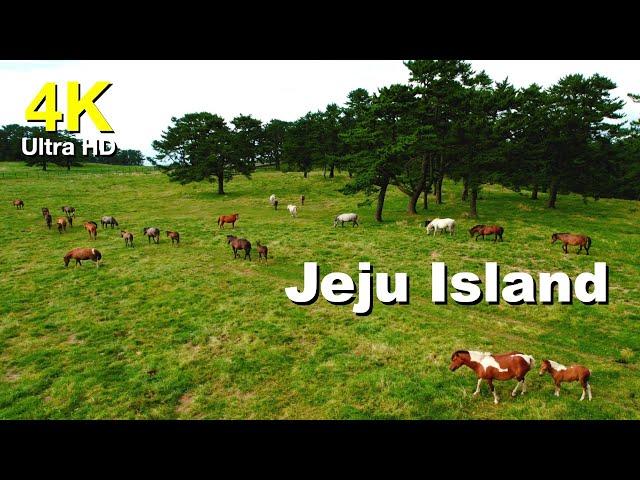 4k 제주도 드론풍경 30분 고화질 영상 소스 | Jeju Island (30 minute)