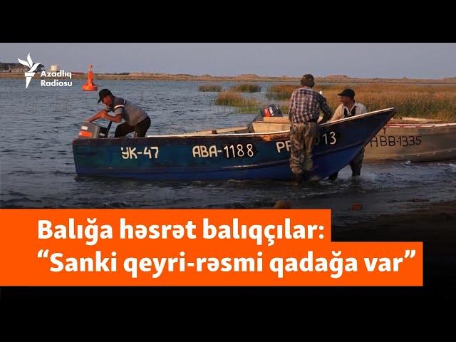 “Bir az çox danışan kimi deyirlər basın içəri” - Balıq üzünə həsrət balıqçılar