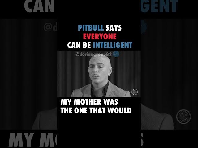 Pitbull Says Everyone Can Be Intelligent