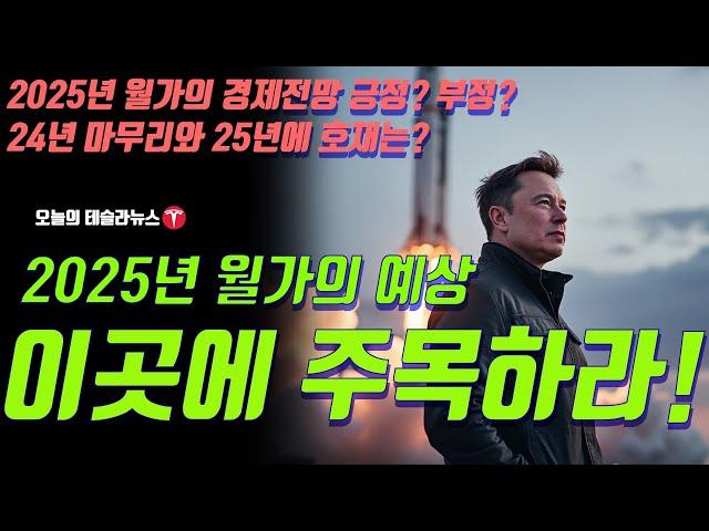 2025년 월가의 예상, 이 종목을 주목하라! 2025년 경제전망 긍정? 부정? 2024년 테슬라의 마무리와 2025년 테슬라의 호재는 무엇일까?