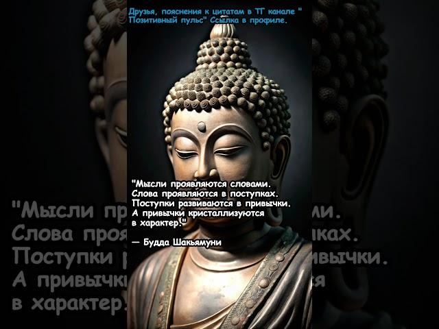 Цитаты со смыслом, которые изменят ваше мышление и жизнь  #цитатысосмыслом #саморазвитие #мотивация