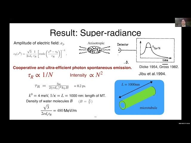TSC2022 - C-13 - Space, time and consciousness 2