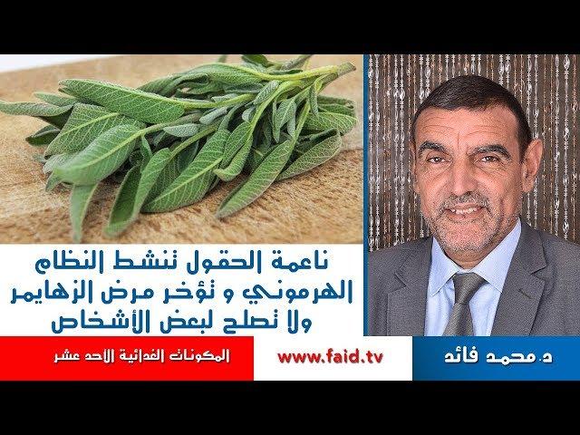 ناعمة الحقول تنشط النظام الهرموني و تؤخر مرض الزهايمر ولا تصلح لبعض الأشخاص | الدكتور محمد فائد