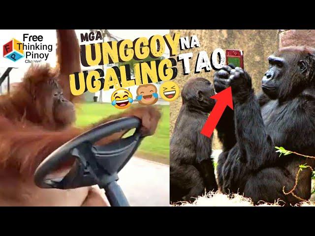 15 MATALINONG UNGGOY NA NAKUNAN NG VIDEO | Smart Monkeys Compilation Caught on Tape