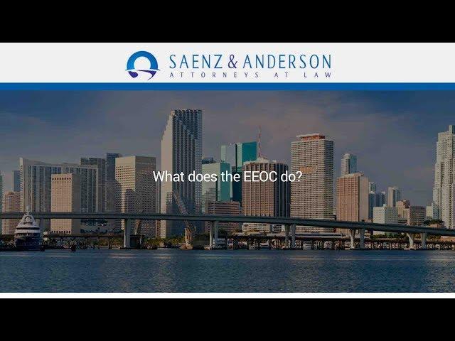 What does the EEOC do?