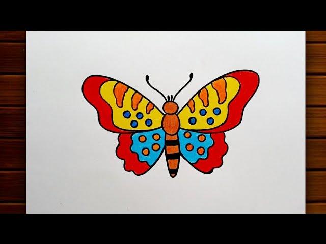 Butterfly Drawing || How to Draw Butterfly for Beginners || Butterfly Drawing Tutorial..