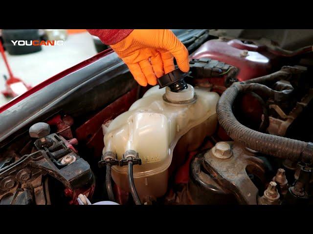 2013-2020 Ford Fusion Check and Add Engine Coolant