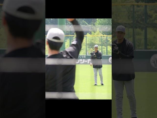 【巨人】西舘勇陽＆堀田賢慎のキャッチボールがえぐかった　#shorts #baseball #sports #ジャイアンツ #巨人 #プロ野球