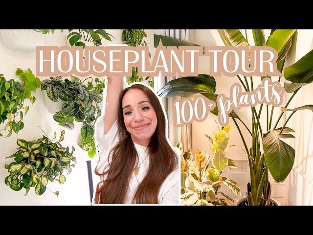 HOUSEPLANT TOUR | my complete 100+ collection common + rare plants