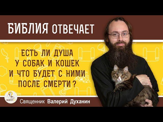 Есть ли душа у собак и кошек и что будет с ними после смерти ? Священник Валерий Духанин. Библия