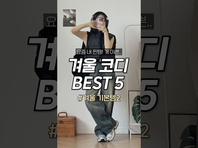 겨울 준비 갓성비 겨울 코디 BEST 5 #패션 #ootd #룩북 #lookbook #데일리룩