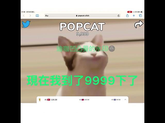 POPCAT