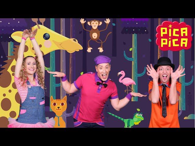 Pica-Pica - Animalitos PicaPica (45 minutos CANCIONES INFANTILES)