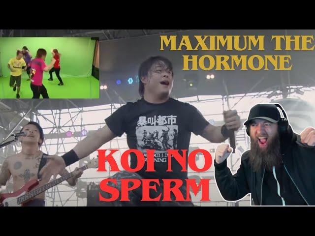 MAXIMUM THE HORMONE 'KOI NO SPERM' MUSIC VIDEO REACTION!!  THE CROWD THOUGH!!!