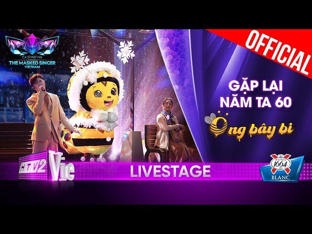 Gặp Lại Năm Ta 60 câu chuyện đẹp mà buồn của Ong Bây Bi | The Masked Singer Vietnam 2023 [LiveStage]