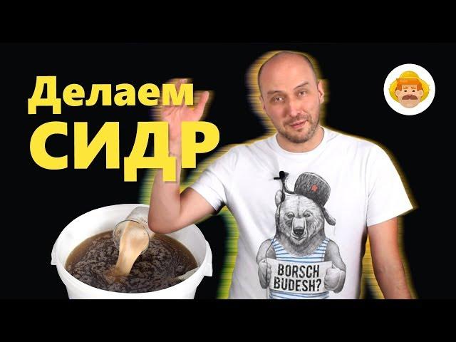 Как сделать сидр? Домашний сидр из яблочного сока
