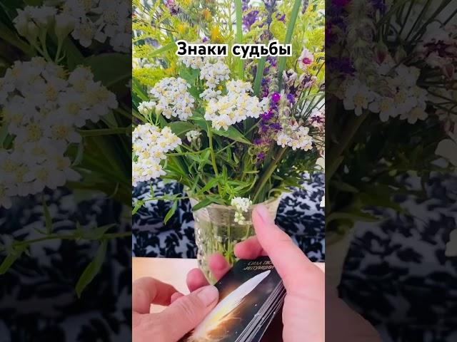  Подсказка вселенной для тебя #tarot #знакдлятебя #жиза #таро #саморазвитие