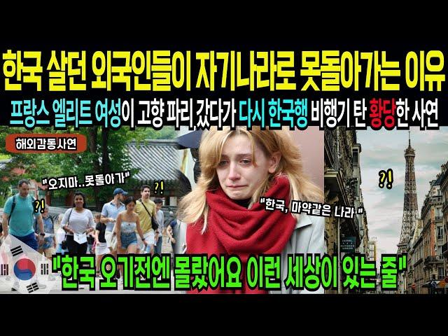 [해외감동사연] "오기전엔 몰랐어요 이런 세상이 존재하는 줄" 한국 살던 외국인 99%가 자기나라 돌아가서 적응 못하는 충격 반전 이유