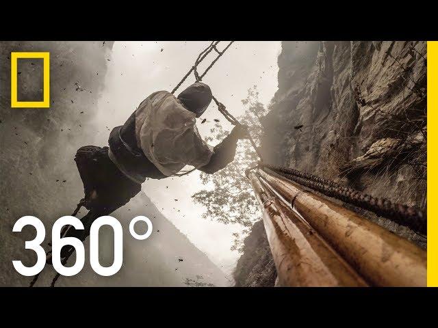 360° Dangerous Honey Hunting (4K) | Explorer | National Geographic