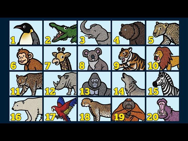 Counting 1 to 20 | Learn to Count Numbers | Learn Names of 20 Animals with Glitter & Googly Eyes