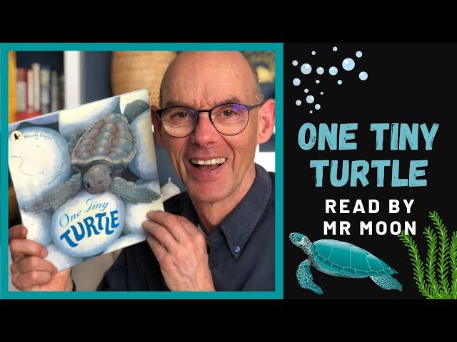 One Tiny Turtle. Non-fiction stories for children at home.