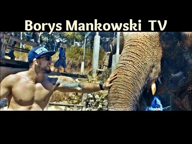 Borys Mankowski SPORT TV