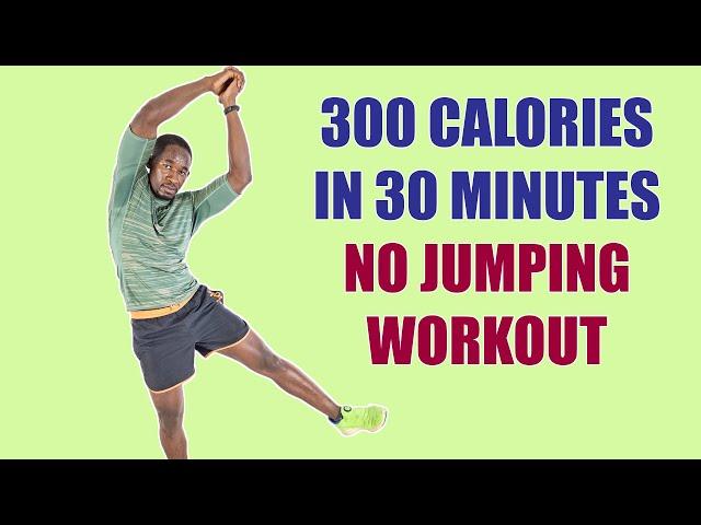 NO JUMPING WORKOUT: Beginner Weight Loss Workout No Equipment300 Calories in 30 Minutes