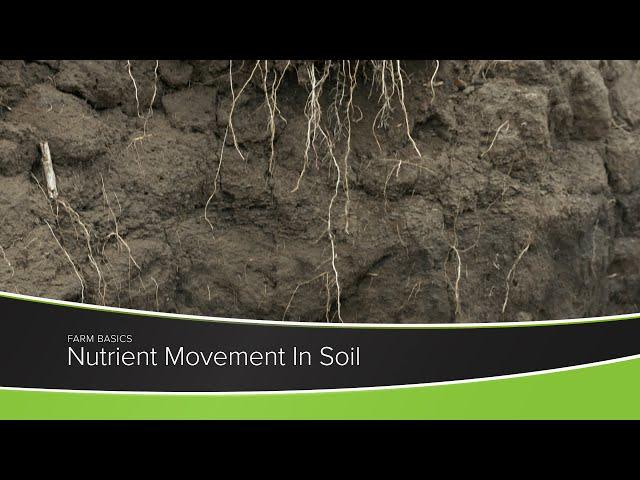 Nutrient Movement In Soil