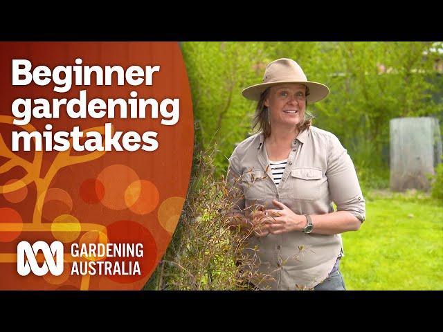Follow these tips to avoid beginner gardener mistakes | Gardening 101 | Gardening Australia