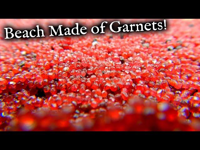 Why are there Garnets Everywhere on this Beach! *New Adventure 2024*
