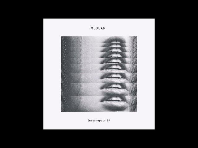 MEDLAR - I WISH feat. KIM ANH [DELUSIONS OF GRANDEUR]