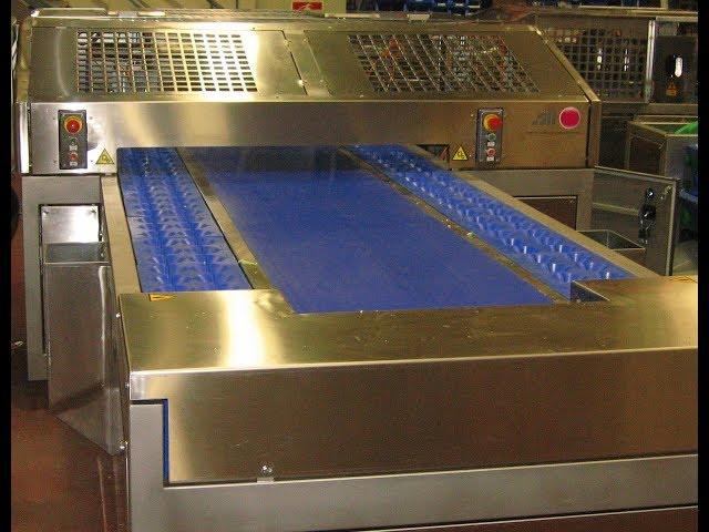 Broccoli and Cauliflower Inspection +Refloreting Machine