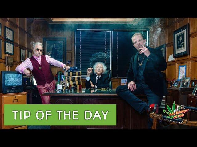 Pot Brothers at Law | One MINUTE TIP of the day