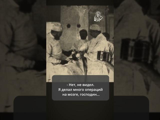Лука Крымский: вскрывая череп, я не вижу ни ума, ни совести. Значит ли это, что их нет?