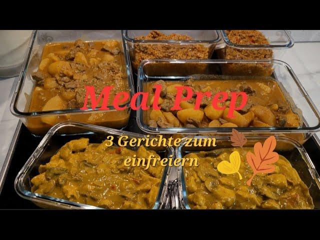 Meal Prep der erste Versuch | 3 Gerichte zum einfrieren