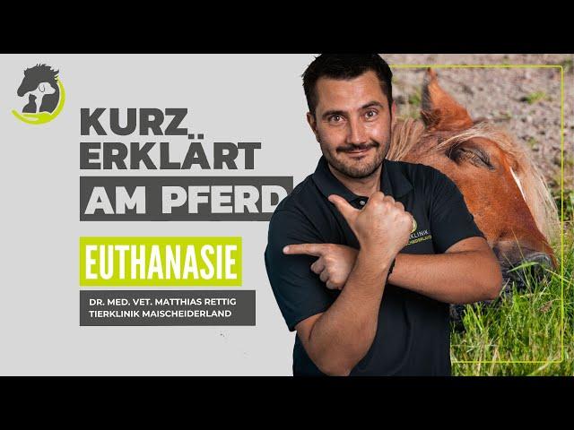 EUTHANASIE - Einschläfern, wann ist es so weit? Kurz erklärt am Pferd.