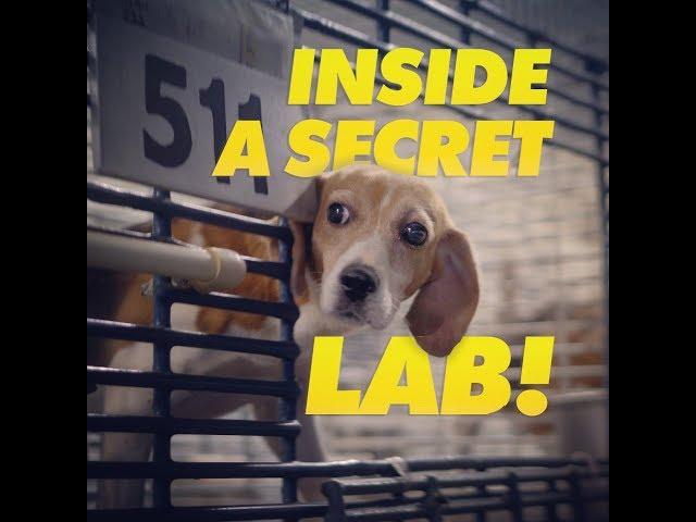 Inside A Secret Lab