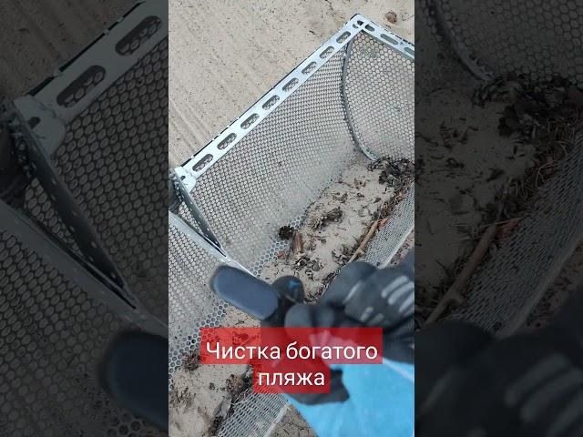 Чистка пляжа от мусора и дорогих вещей