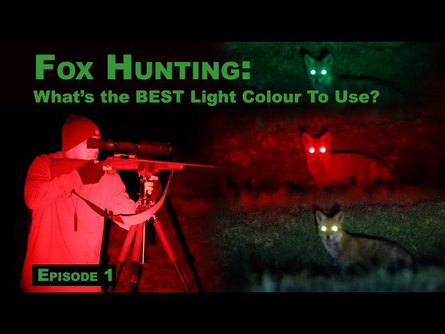 What's the BEST Light Colour for Fox Hunting?