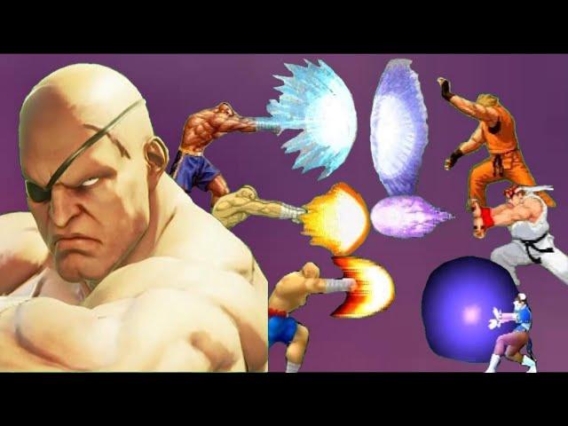 SAGAT Many Tiger Cannon VS (video game)