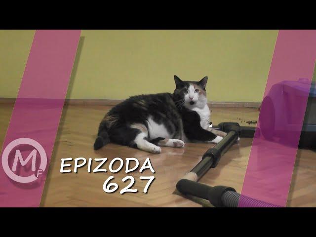 Porodica Zloća - Epizoda 627 (Season 14)