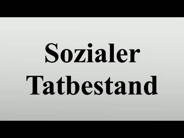 Sozialer Tatbestand