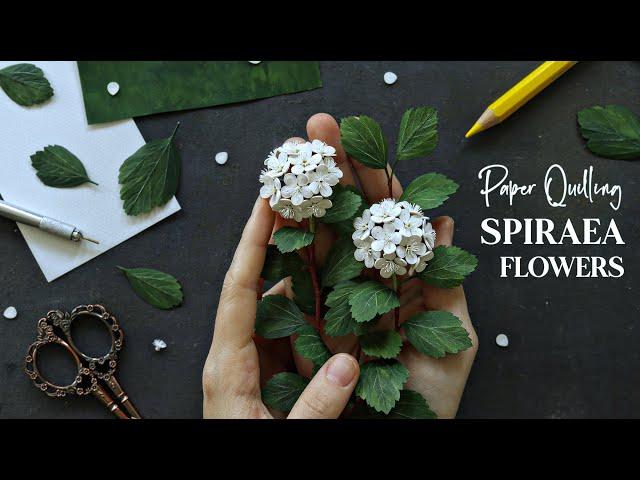 Paper Quilling Spirea Flowers and a Short Plant Vlog  Relaxing Art