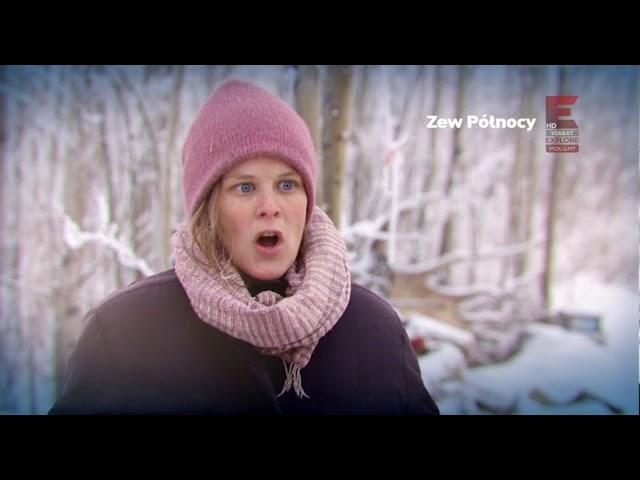 Polsat Viasat Explore - Zew północy - promo