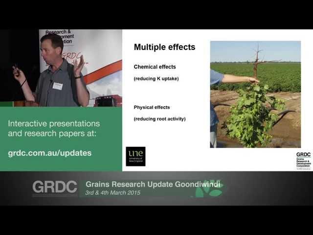 Grains Research Updates 2015 | Goondiwindi | Managing nutrition in sodic soils - C. Guppy