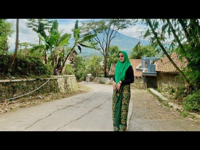 PESONA JANDA DESA CANTIK || KE KEBUN BAMBU BERSAMA II JANDA MUDA‼️