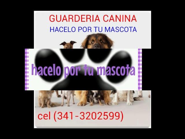 Peluqueria canina hacelo por tu mascota vgg